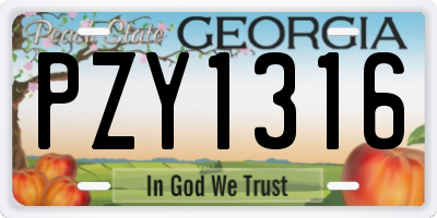 GA license plate PZY1316