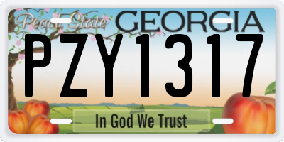 GA license plate PZY1317