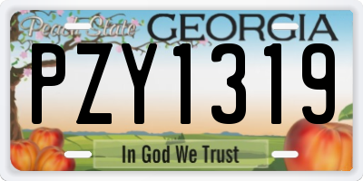 GA license plate PZY1319