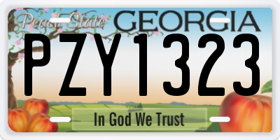 GA license plate PZY1323