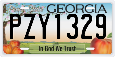 GA license plate PZY1329
