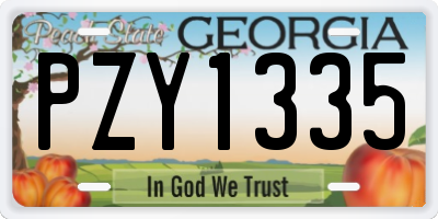 GA license plate PZY1335