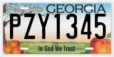 GA license plate PZY1345
