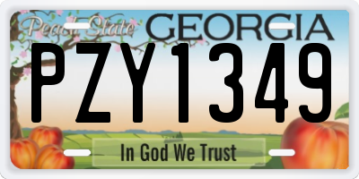 GA license plate PZY1349
