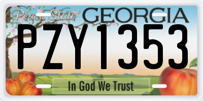 GA license plate PZY1353