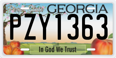 GA license plate PZY1363