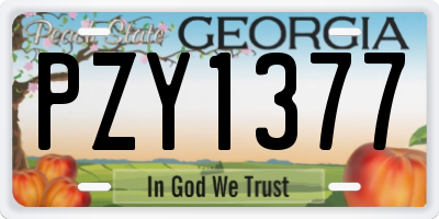 GA license plate PZY1377