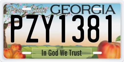 GA license plate PZY1381