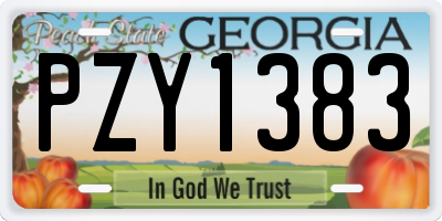 GA license plate PZY1383
