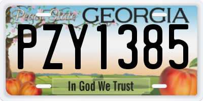 GA license plate PZY1385