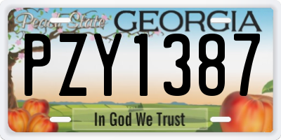 GA license plate PZY1387