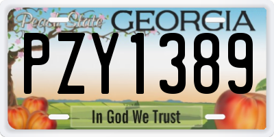 GA license plate PZY1389