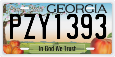 GA license plate PZY1393