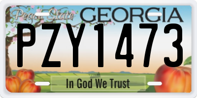 GA license plate PZY1473