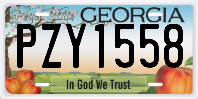 GA license plate PZY1558