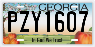 GA license plate PZY1607