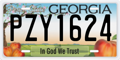 GA license plate PZY1624