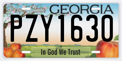 GA license plate PZY1630