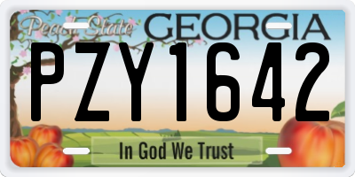 GA license plate PZY1642