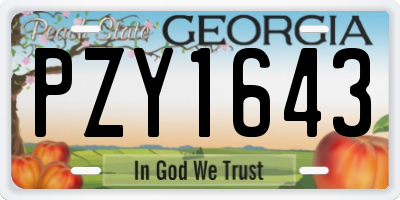 GA license plate PZY1643