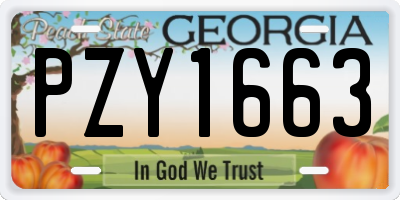 GA license plate PZY1663