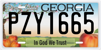 GA license plate PZY1665
