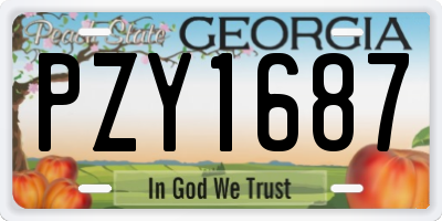 GA license plate PZY1687