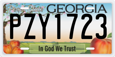 GA license plate PZY1723