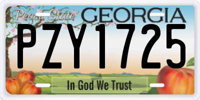 GA license plate PZY1725