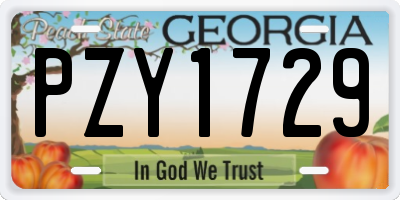 GA license plate PZY1729