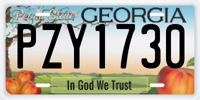 GA license plate PZY1730