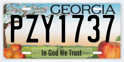 GA license plate PZY1737