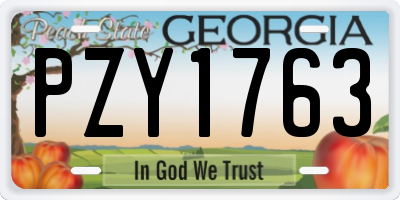 GA license plate PZY1763
