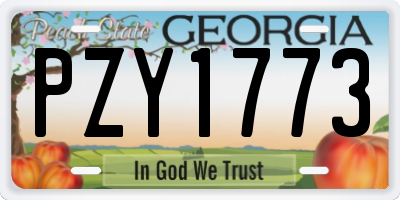 GA license plate PZY1773