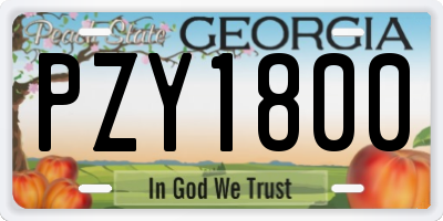 GA license plate PZY1800