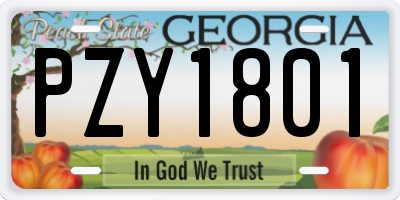 GA license plate PZY1801