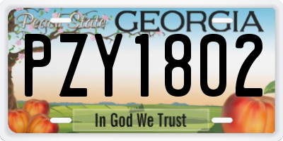 GA license plate PZY1802
