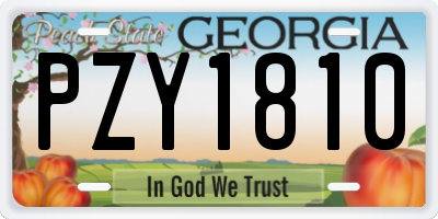 GA license plate PZY1810