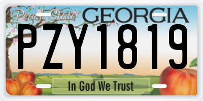 GA license plate PZY1819