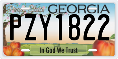 GA license plate PZY1822