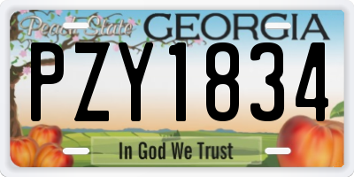 GA license plate PZY1834