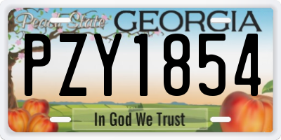GA license plate PZY1854