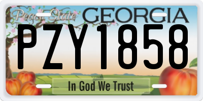 GA license plate PZY1858