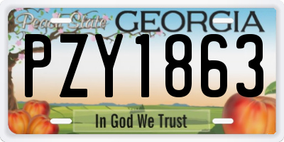 GA license plate PZY1863