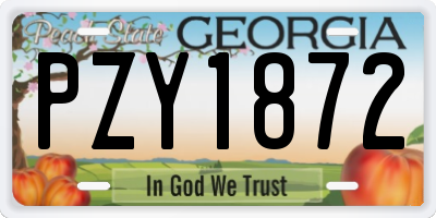 GA license plate PZY1872