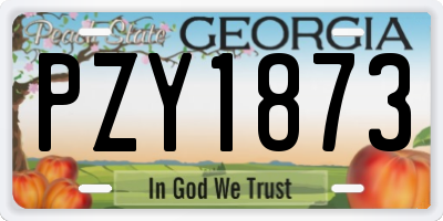 GA license plate PZY1873