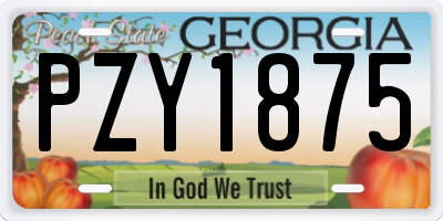 GA license plate PZY1875