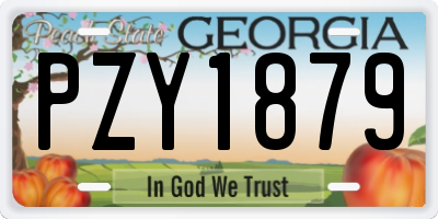 GA license plate PZY1879