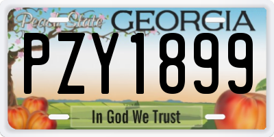 GA license plate PZY1899