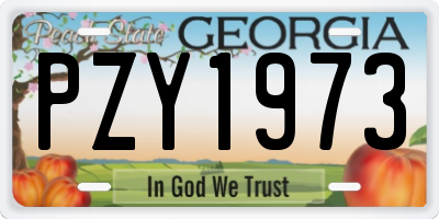 GA license plate PZY1973